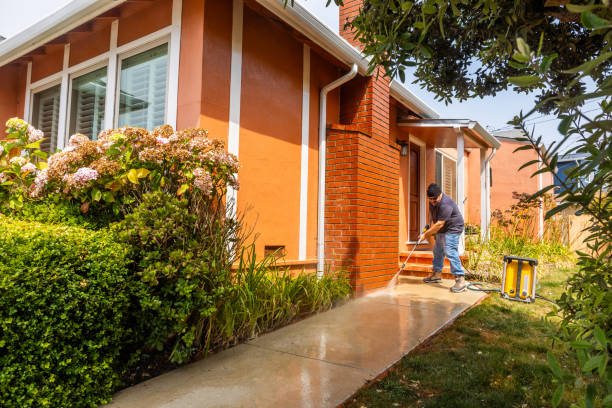 Roof Power Washing Services in Oreana, IL