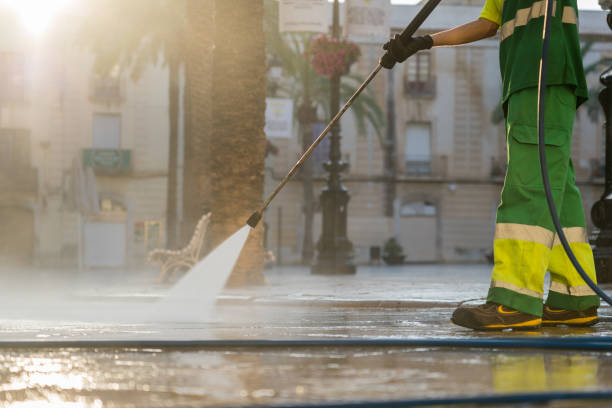 Best Local Pressure Washing Services  in Oreana, IL